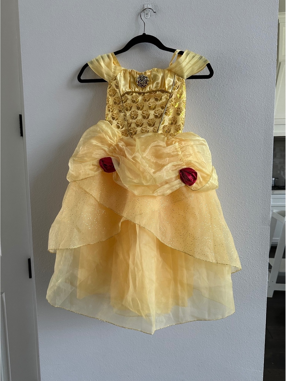 Disney Store Princess Belle costume dress